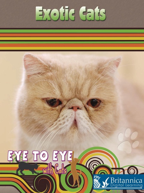 Cover image for book Exotic Cats