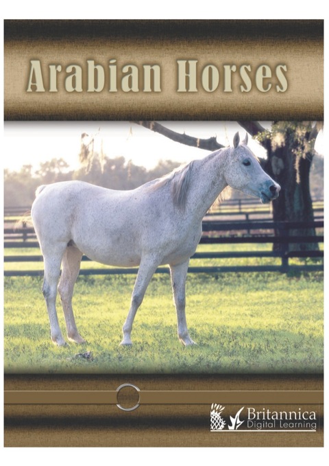 Cover image for book Arabian Horses