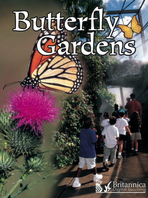 Cover image for book Butterfly Gardens