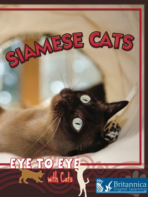 Cover image for book Siamese Cats