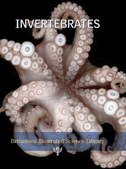 Cover image for book Invertebrates