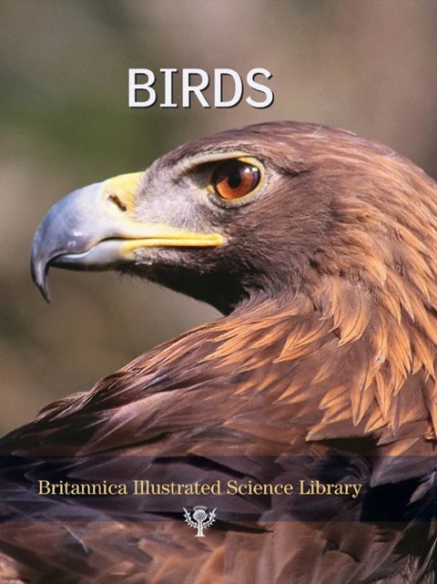 Cover image for book Birds