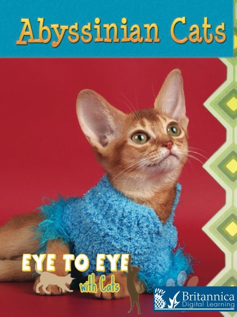 Cover image for book Abyssinian Cats