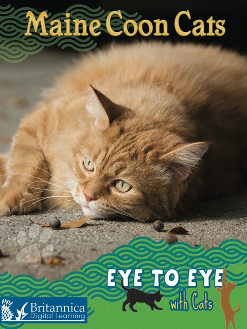Cover image for book Maine Coon Cats