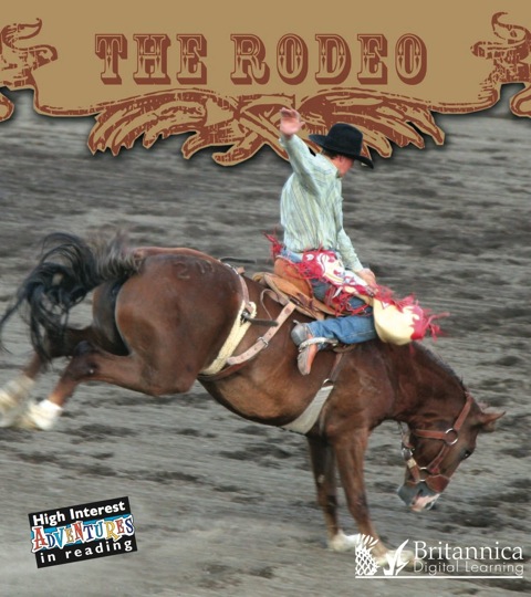 Cover image for book The Rodeo