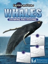 Cover image: Whales 1st edition 9781615902538