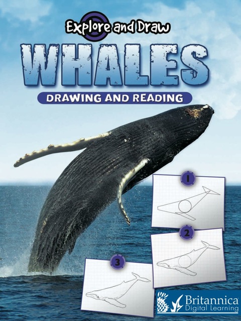 Cover image for book Whales