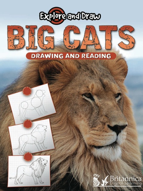 Cover image for book Big Cats