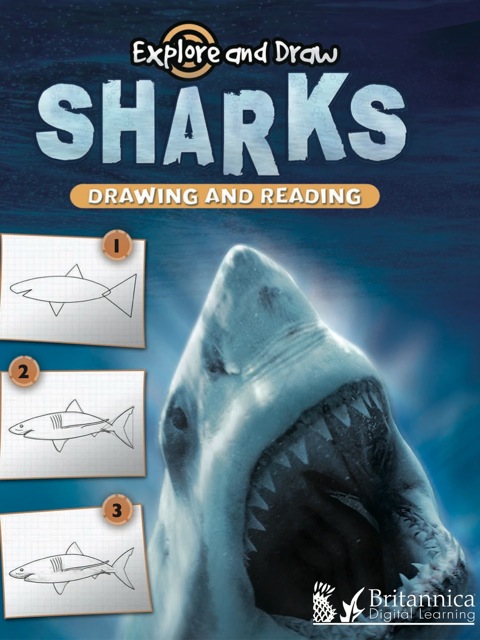 Cover image for book Sharks