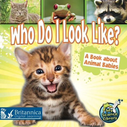 Cover image for book Who Do I Look Like?