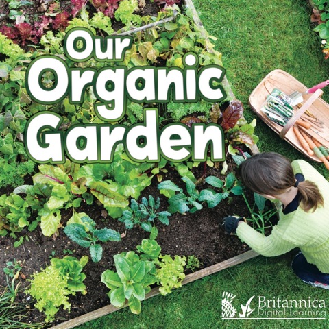 Cover image for book Our Organic Garden