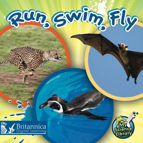 Cover image for book Run, Swim, Fly