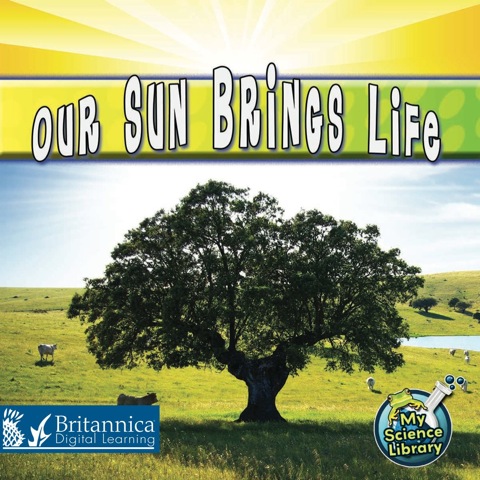 Cover image for book Our Sun Brings Life