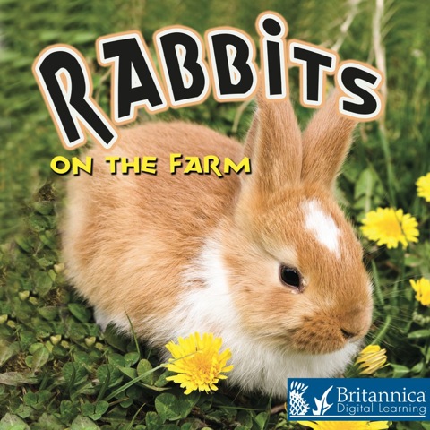 Cover image for book Rabbits on the Farm