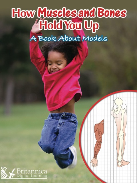 Cover image for book How Muscles and Bones Hold You Up: A Book About Models