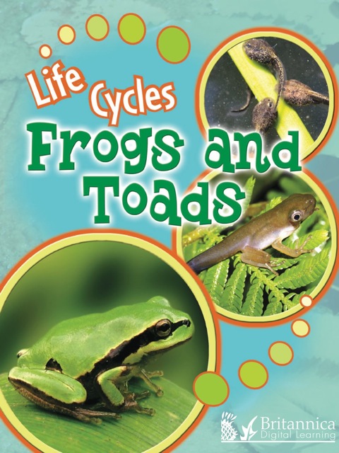Cover image for book Frogs and Toads