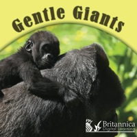 صورة الغلاف: Gentle Giants 1st edition 9781604725421