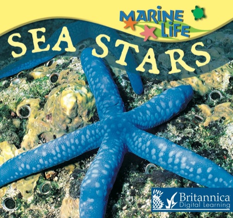 Cover image for book Sea Stars
