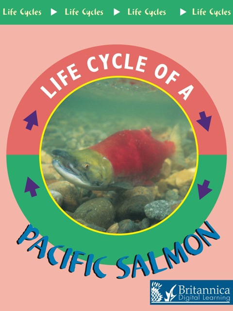 Cover image for book Pacific Salmon