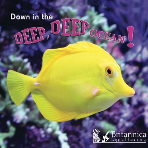 Cover image for book Down in the Deep Deep Ocean
