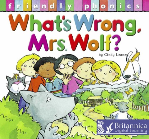 Cover image for book What's Wrong Mrs. Wolf?