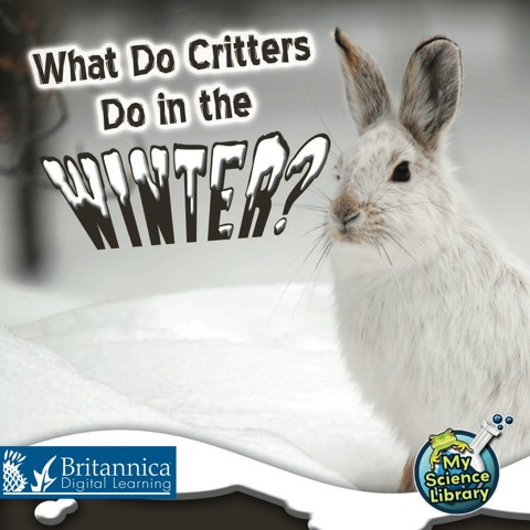 Cover image for book What Do Critters Do in the Winter?