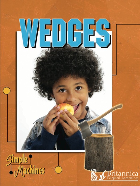 Cover image for book Wedges