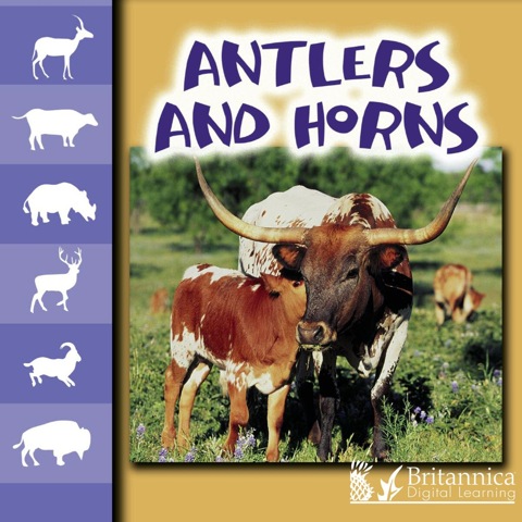Cover image for book Antlers and Horns