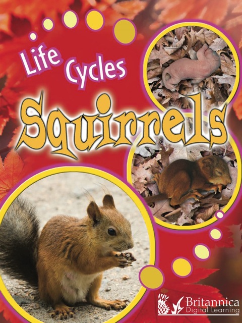 Cover image for book Squirrels