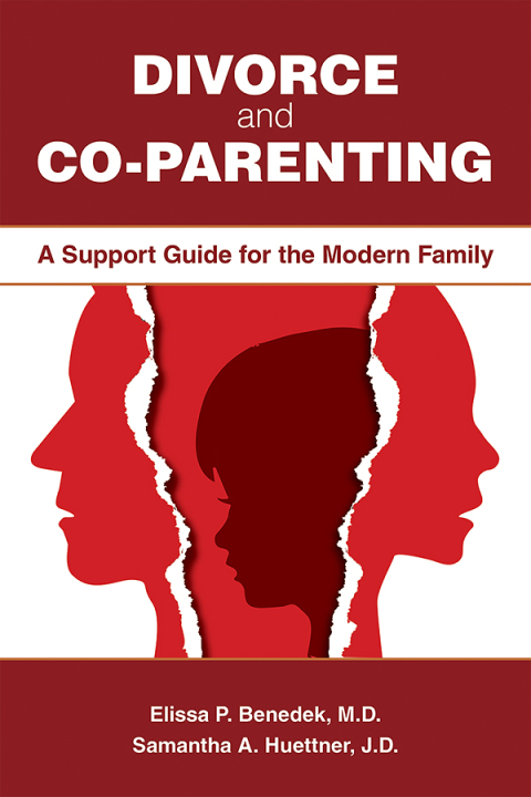 Cover image for book Divorce and Co-parenting