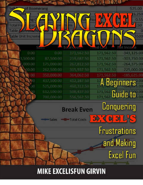Cover image for book Slaying Excel Dragons
