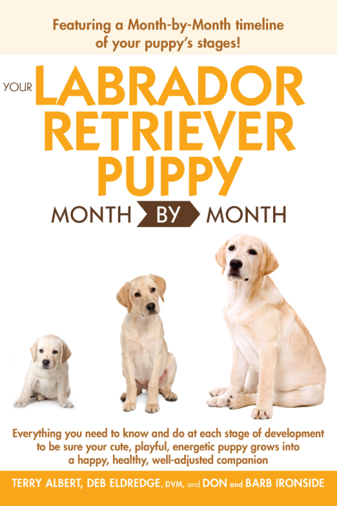 Cover image for book Your Labrador Retriever Puppy Month By Month
