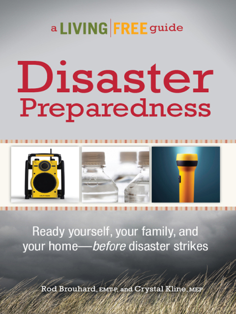 Cover image for book Disaster Preparedness
