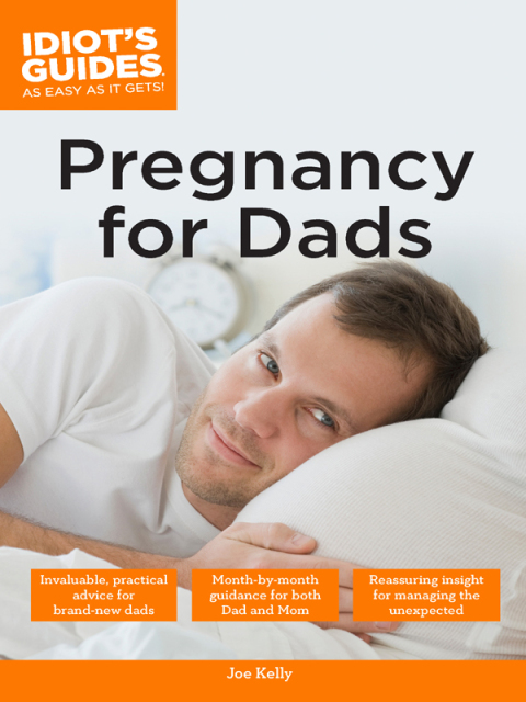 Cover image for book Pregnancy for Dads