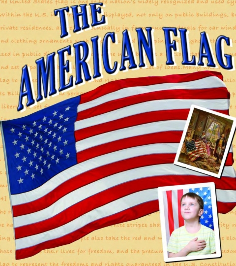 Cover image for book American Flag
