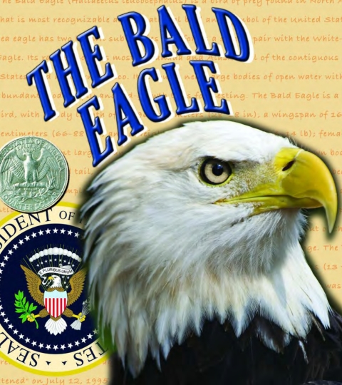 Cover image for book The Bald Eagle