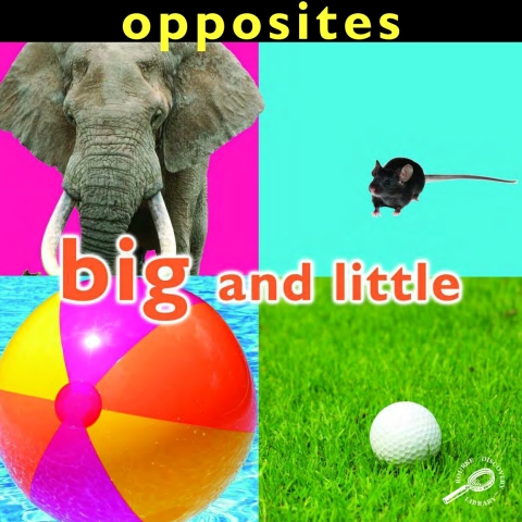 Cover image for book Opposites: Big and Little