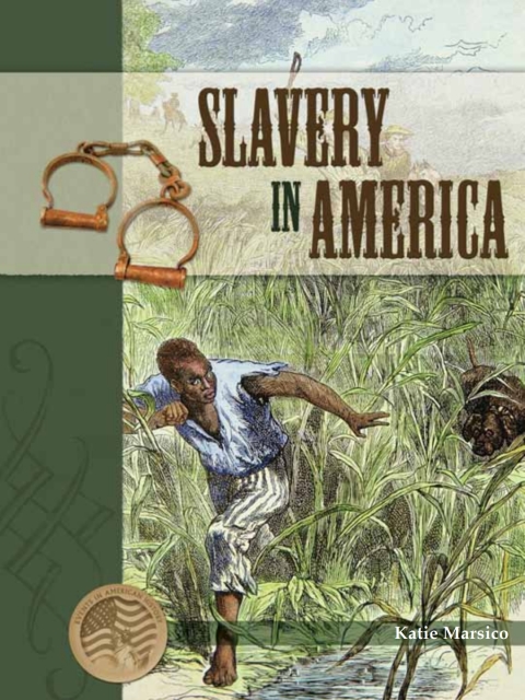 Cover image for book Slavery In America