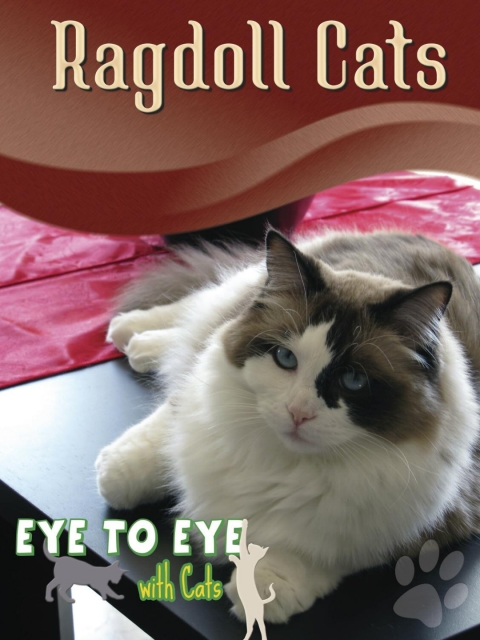 Cover image for book Ragdoll Cats