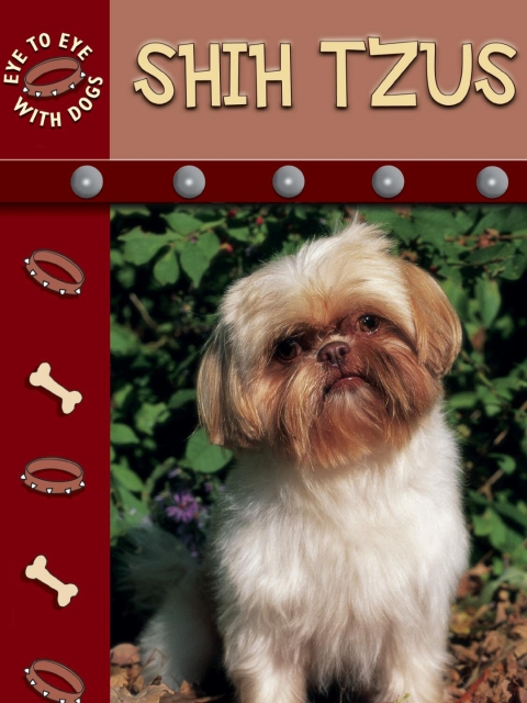 Cover image for book Shih Tzus