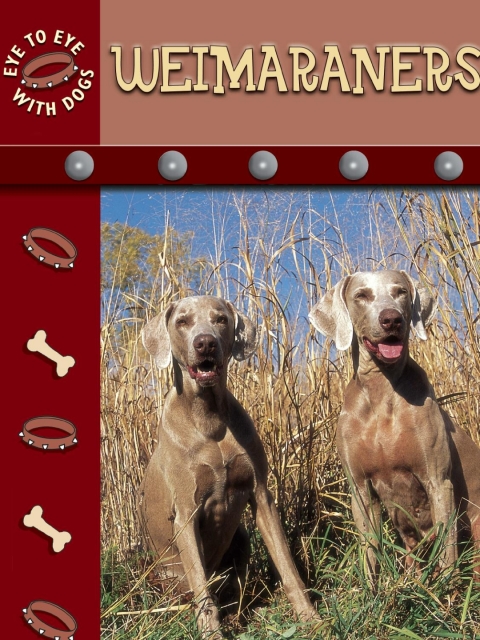 Cover image for book Weimaraners