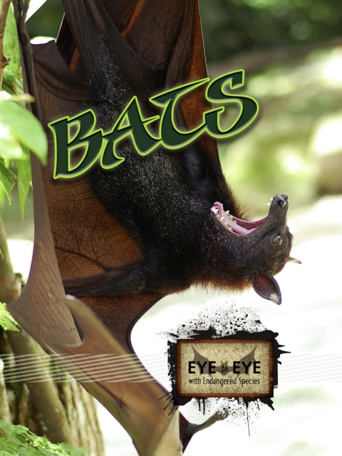 Cover image for book Bats