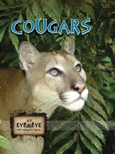 Cover image for book Cougars