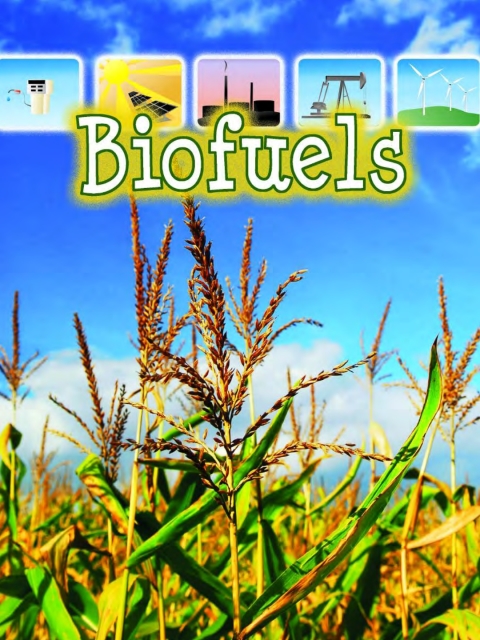Cover image for book Biofuels