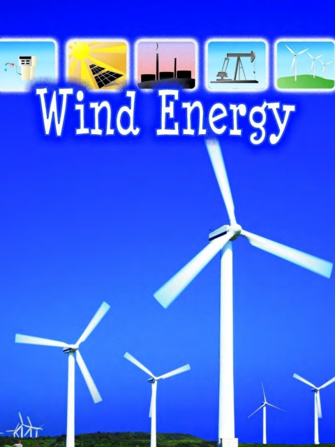 Cover image for book Wind Energy