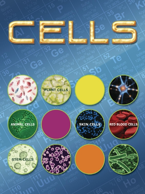 Cover image for book Cells