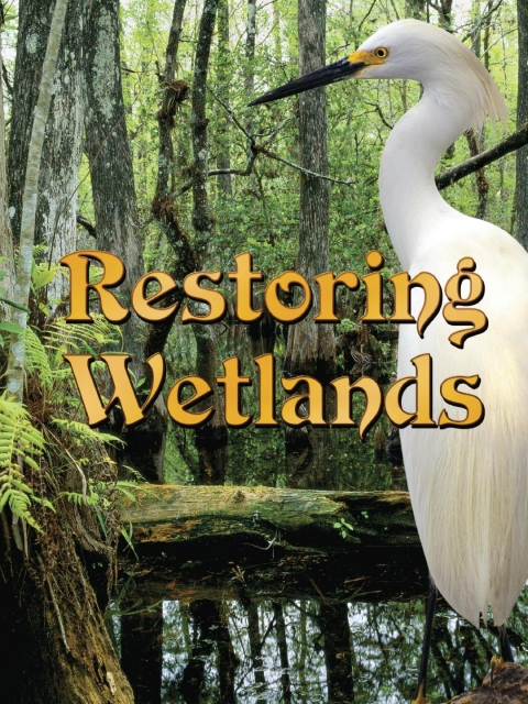 Cover image for book Restoring Wetlands