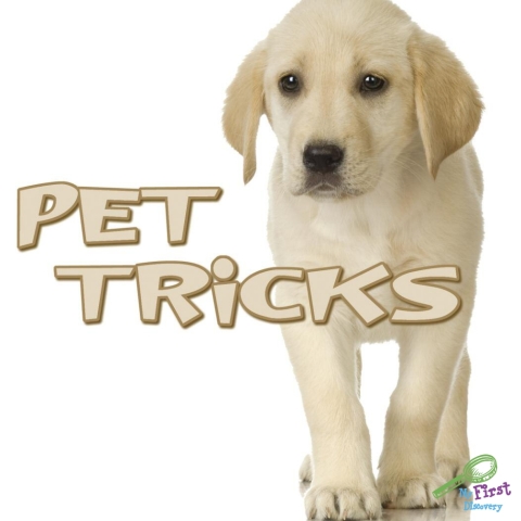 Cover image for book Pet Tricks