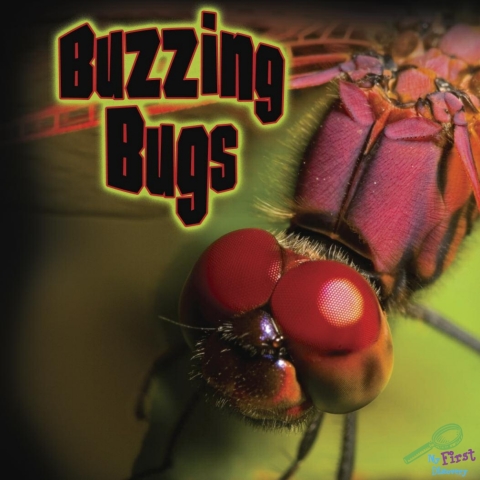 Cover image for book Buzzing Bugs