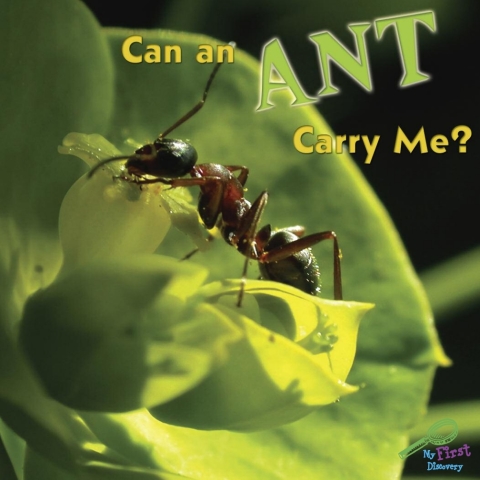 Cover image for book Can An Ant Carry Me?
